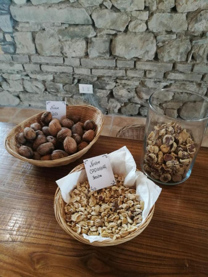 “all'antica Dogana” Farm stay