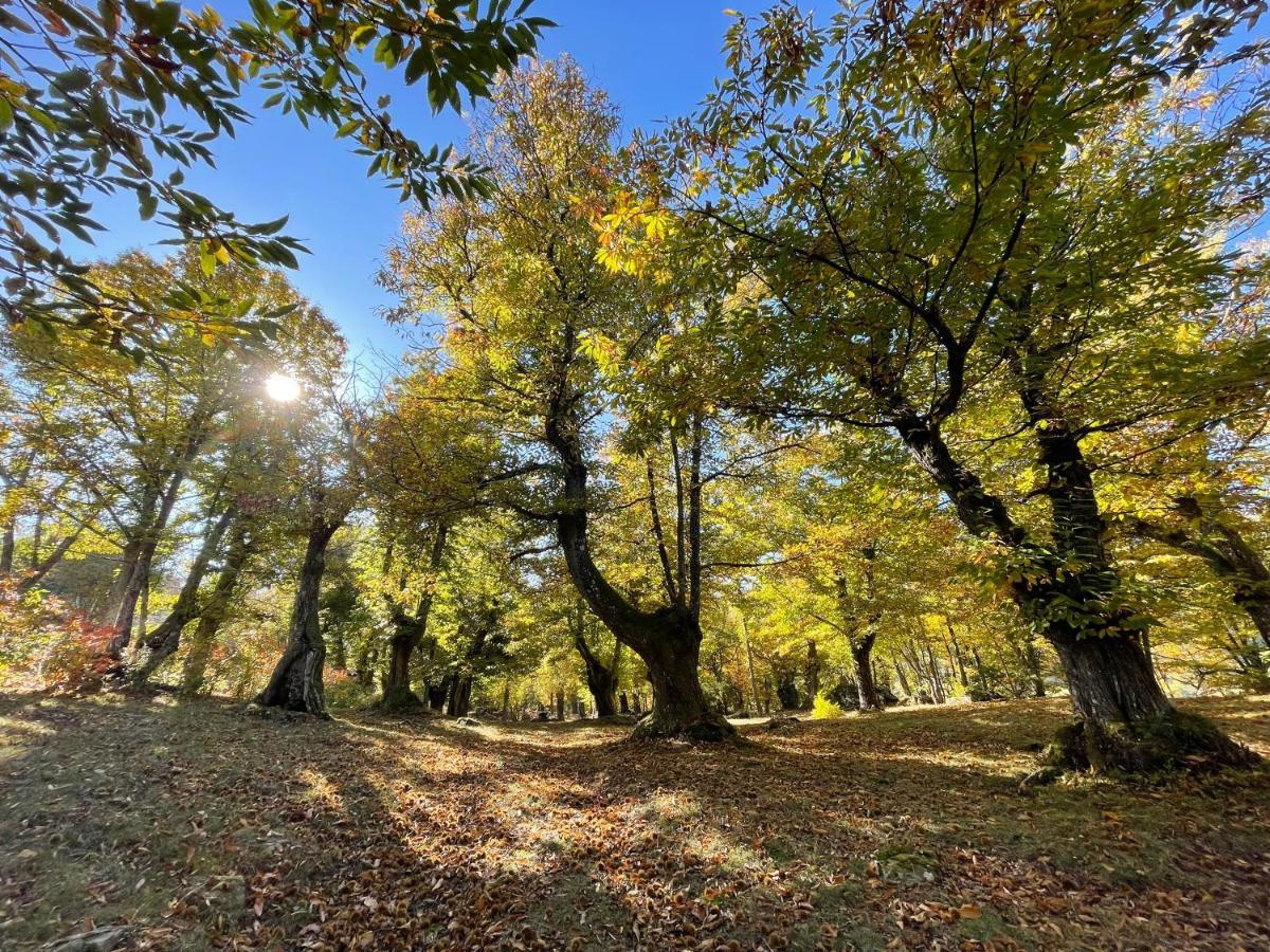 “all'antica Dogana” * Bosco (Parma)